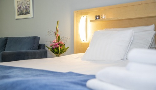 Basic Double Room