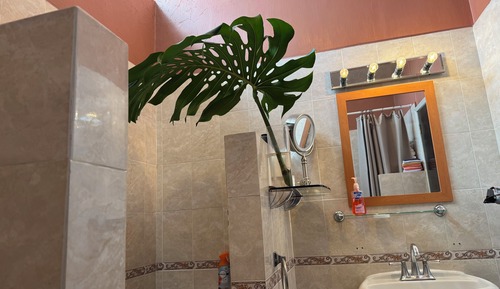 Signature Studio Suite, 1 King Bed, Balcony, Courtyard Area