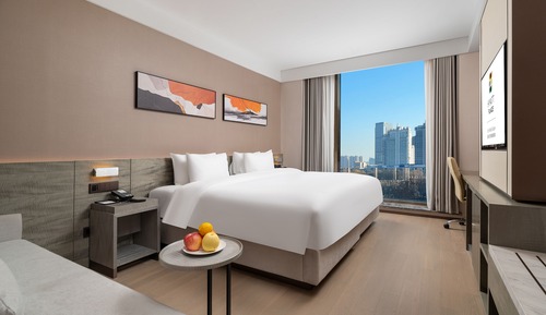 Room, 1 King Bed with Sofa bed, Garden View
