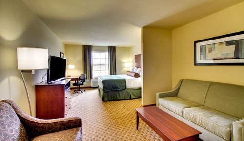 Suite, 1 King Bed with Sofa bed, Non Smoking