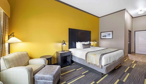 Standard Room, 1 King Bed, Non Smoking, Refrigerator & Microwave