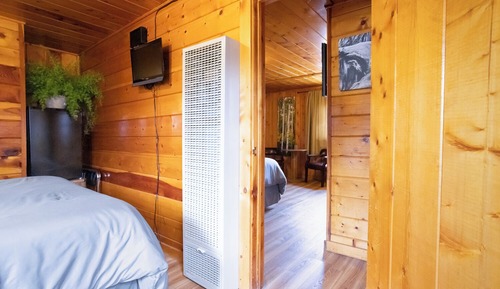 Standard Suite, 2 Queen Beds