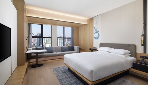 Standard Room, 1 King Bed, City View