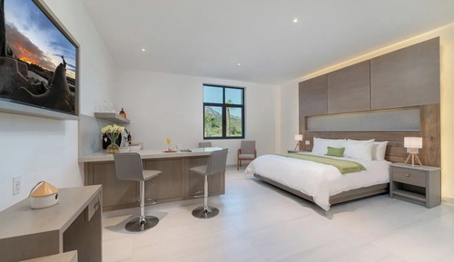 Superior Room, 1 Bedroom