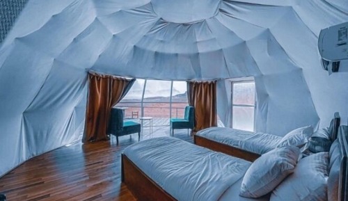Basic Tent