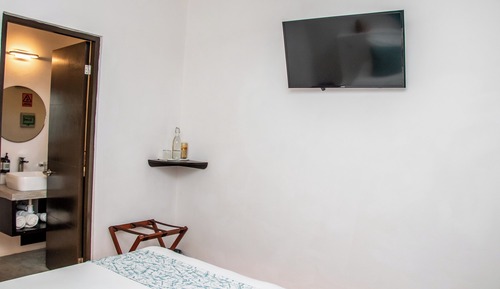 Standard Suite