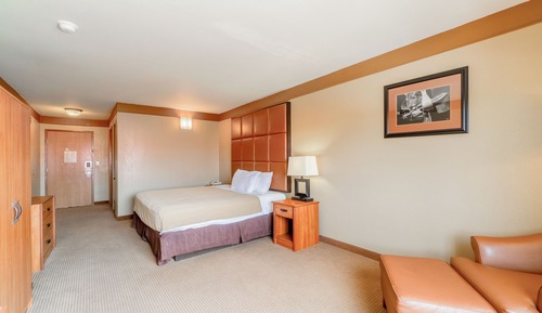 Room, 1 King Bed, Smoking