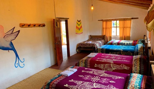 Standard Room, Mixed Dorm, Mountain View