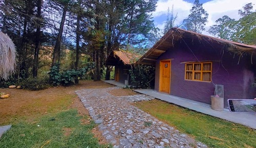 Standard Room, Mountain View
