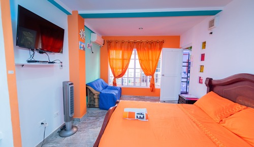 Basic Apartment