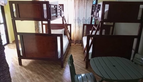Standard Shared Dormitory, Mixed Dorm