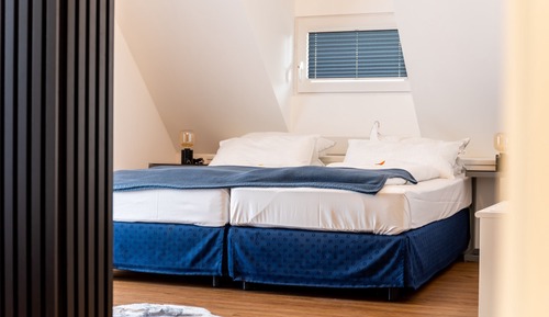 Deluxe Suite, Private Bathroom, City View