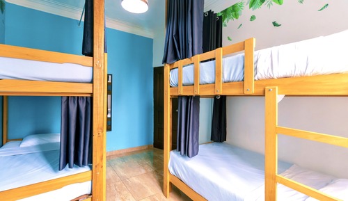 Superior Shared Dormitory
