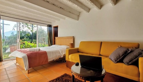 Classic Double or Twin Room