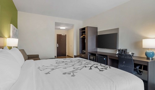 Standard Room, 1 King Bed, Non Smoking