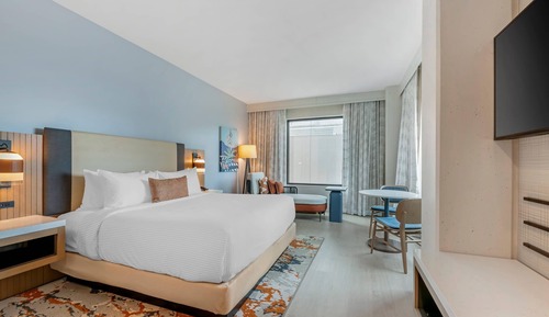 Room, 1 King Bed, Non Smoking