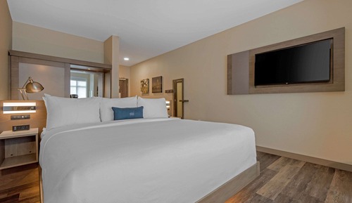 Standard Room, 1 King Bed, Accessible, Non Smoking (Accessible Tub)