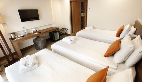 Deluxe Triple Room, 1 Bedroom, Mountain View