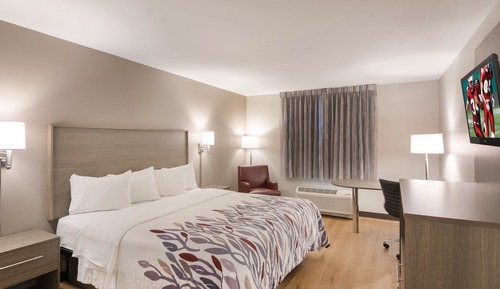 Superior Room, 1 King Bed, Non Smoking