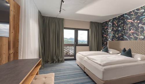 Deluxe Apartment, Terrace, Mountain View