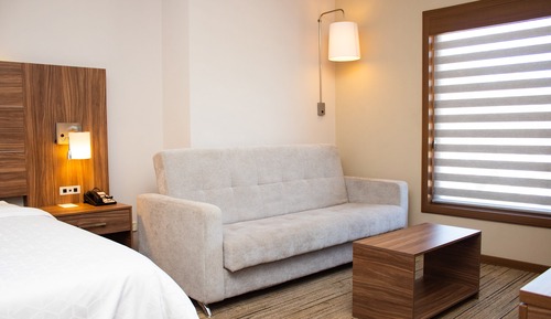 Suite, 1 King Bed