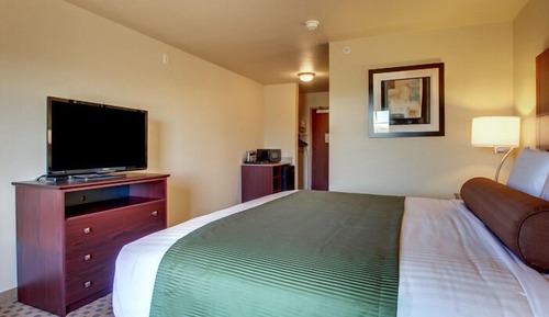 Room, 1 King Bed, Accessible, Non Smoking