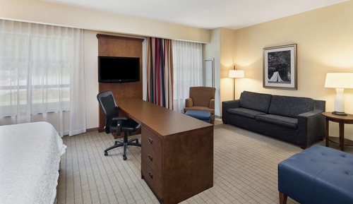Suite, 1 King Bed