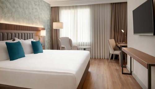 Standard Room, 1 King Bed with Sofa bed, City View