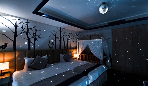 Family Room with Nature (infant)