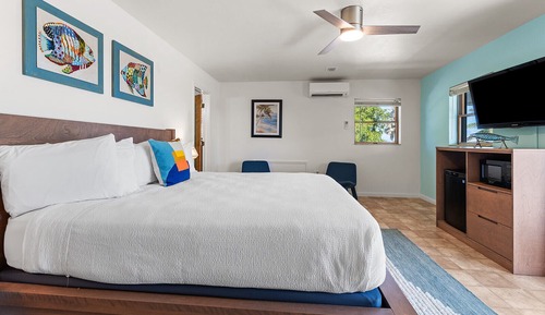 Standard Room, 1 King Bed, Refrigerator & Microwave