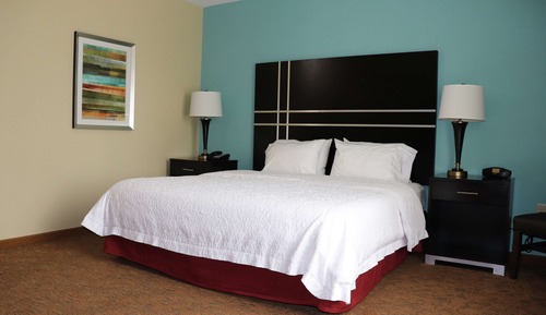 Room, 1 King Bed, Accessible (Mobility & Hearing, Roll-in Shower)