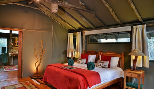 Forest Camp