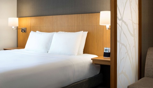 Room, 1 King Bed, Accessible, Bathtub