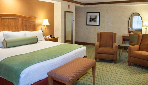 Premier Room, 1 King Bed, Refrigerator