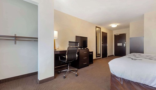 Room, 1 King Bed, Accessible, Non Smoking