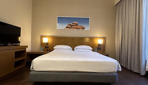 Suite, 1 King Bed with Sofa bed