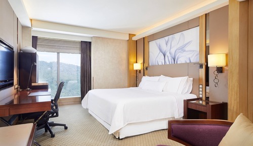 Room, 1 King Bed, Non Smoking