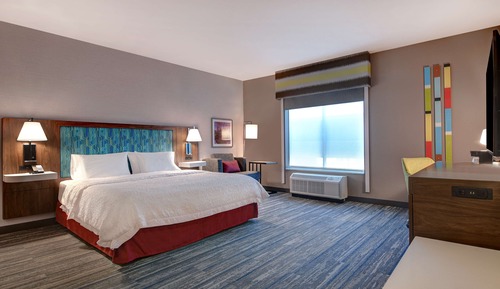 Room, 1 King Bed, Accessible, Non Smoking (Mobility/Hearing, Roll In Shower)