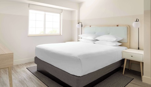 Executive Suite, 1 King Bed