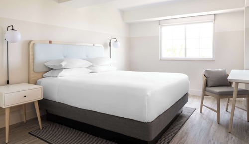 Studio, 1 King Bed