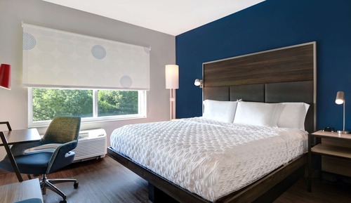 Room, 1 King Bed
