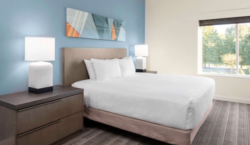 Suite, 1 King Bed with Sofa bed