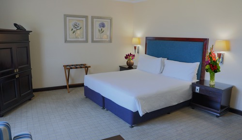 Luxury Room