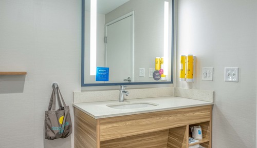 Room, 1 King Bed, Accessible (Roll-In Shower)
