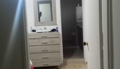 Comfort Studio Suite, 2 Bedrooms