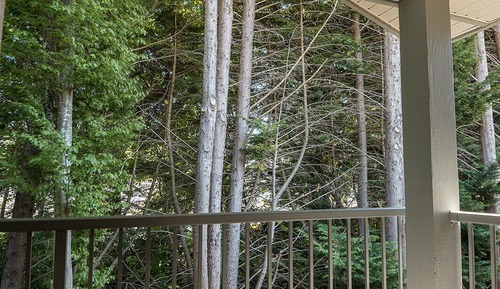 Signature Studio Suite, 1 Queen Bed, Balcony