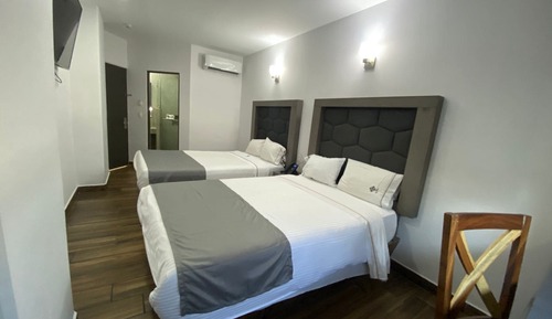 Standard Double Room, 2 Double Beds