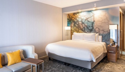 Room, 1 King Bed with Sofa bed