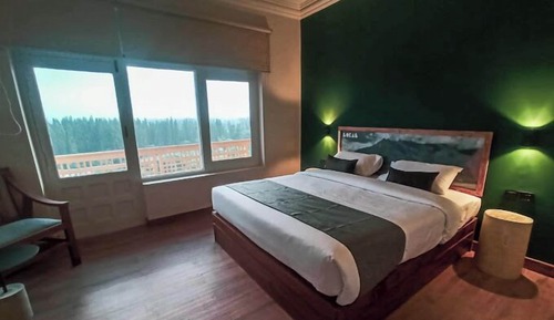 Deluxe Double or Twin Room