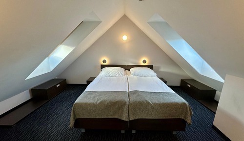 Suite, Multiple Beds (Plus)